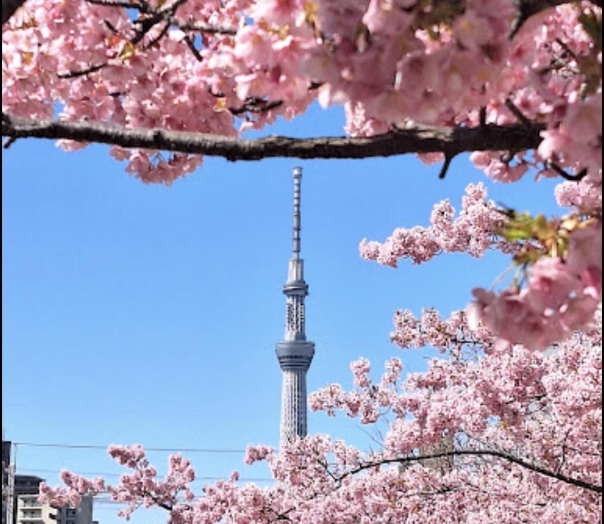 貸切一軒家 東京ヴィラ リバーサイド平井 Tokyo Eksteriør bilde